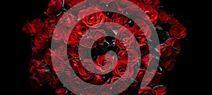 Dark red roses background