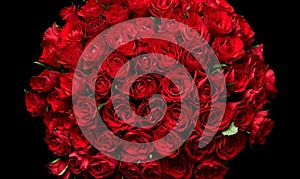 Dark red roses background