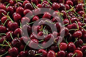 Dark Red Sweet Cherries Closeup