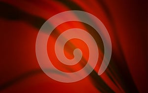 Dark Red vector abstract bright texture.