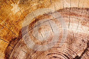 dark redwood texture background