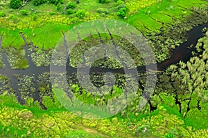 Dark river, aerial landscape in Okavango delta, Botswana. Lakes and rivers, view from airplane, UNESCO World Heritage site in Sout