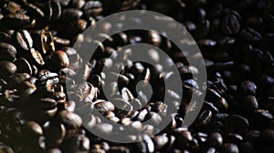 Dark Roasted Kopi Lintong, Arabica Coffee originated from Lintongnihuta, North Sumatra