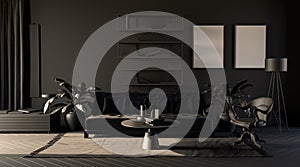 Dark room in plain monochrome gray tones with sofa,chair,plants, bookshelf and floor lamp on a carpet. Black background. 3D