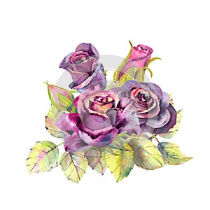 Dark rose flower, green leaves, composition . The concept of the wedding flowers. Flower poster, invitation. Watercolor