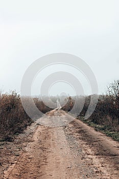 Dark rural dirt road with mud in fog, landscape empty countryside