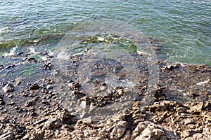 Dark sea rocks. Strong sunny day