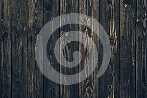 Dark shabby wooden fence with nails. Texture of black planks. Old wood brown boards. Vintage timber background. Natural pattern of