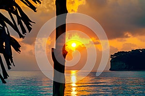 Dark silhouettes of palm trees and amazing cloudy sky on sunset