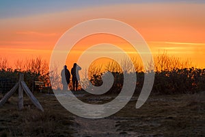 dark silhouettes of 2 people watch the orange sunset on the beach of RÃ¼gen on the Baltic Sea.