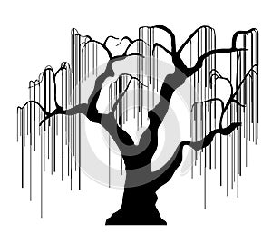 Dark single silhouette shape of a floral tree for the posters, shirts