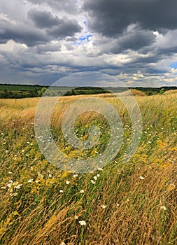 Dark sky over meadow