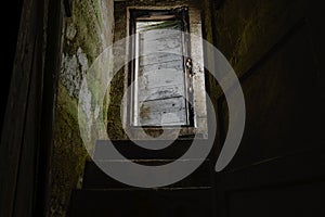 Dark stairs with old and white door leading down to dark basement