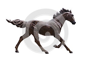 Dark stallion horse isolated on white background