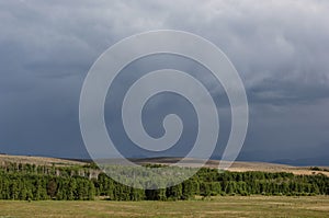 Dark storm clouds ominously hover over California pastureland.