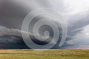 Dark storm clouds over a field in Montana