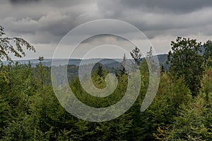 Dark storm clouds over the mixed forest trees