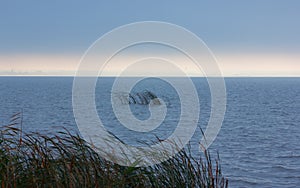 Dark Stormy Seascape with Sunlight on the Horizon