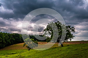 Dark stormy sky over trees and farm fields in York County