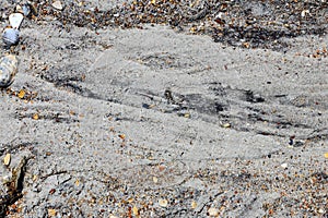 Dark streaked pattern in beach sand