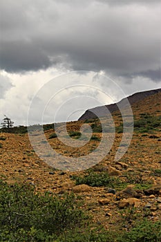 Dark summer clouds loom over an expanse of the stark rocky beauty of the Tablelands ophiolite Gros Morne National Park Canada