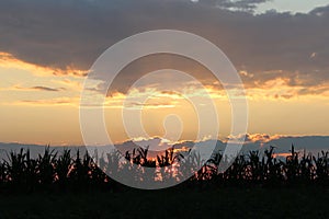 Dark summer decline above the village