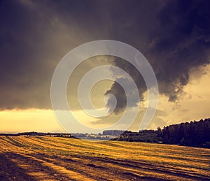 Dark Toned Landscape with Field and Gloomy Sky