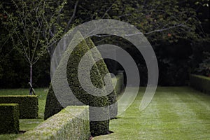 Dark Topiary Garden