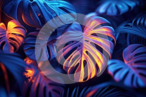 Dark tropical leaves luminous colorful colors