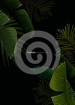 Dark tropical summer design with banana palm leaves, glowing frame and space for text. Vector flyer, banner or card