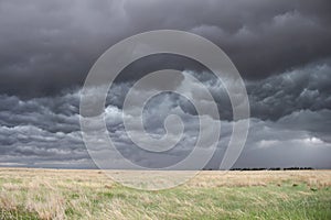 Dark, turbulent sky over prairie grass