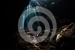 Dark, Underwater Grotto and Beams of Sunlight