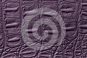 Dark violet leather texture background, closeup. Reptile skin, macro