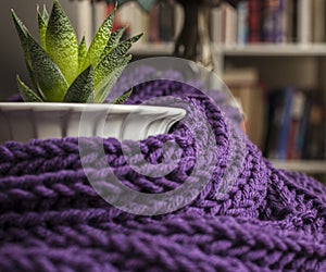 Dark volet scarf and a green plant.