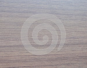 Dark walnut, natural wood texture close-up. Background. Close up shot