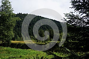 Dark water in front of dark trees at Lac de Lispach