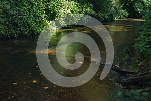 Dark waters of the Stour River