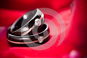 Dark Wedding Rings on Red Petals