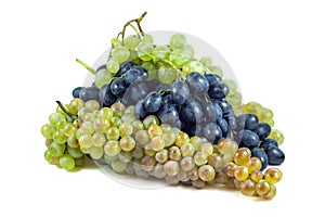 Dark and white grapes, Isolated on white background