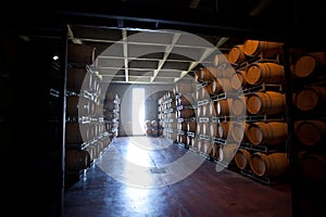 Dark wine storage in Mendoza Argentina