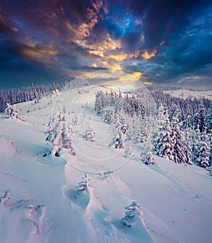 Dark winter scene in the mountains.