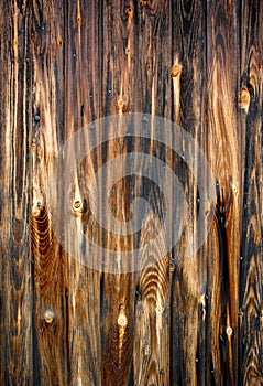 Dark wood background