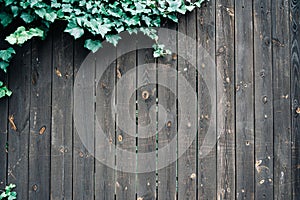 Dark wood background. Dark grain panel board table with copy space. Old floor wooden pattern with green leaves. Timber