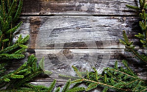 Dark wood background with fir twigs for natural winter frame