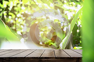 Dark wood table top Bar with blur on green palm leaves or tree in tropical forest with bokeh light at background