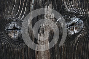 Dark wood texture, background