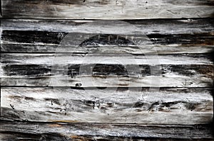 Dark wood texture. Background old panels