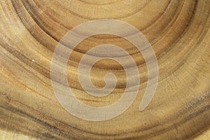 Dark wood texture with old natural patterns