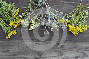 On a dark wooden background are plants used in medicine photo