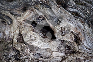 Dark Wooden structural surface